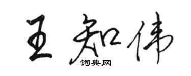 駱恆光王知偉行書個性簽名怎么寫