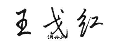 駱恆光王戈紅行書個性簽名怎么寫