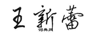 駱恆光王新蕾行書個性簽名怎么寫