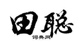 胡問遂田聰行書個性簽名怎么寫