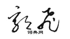 駱恆光郭飛草書個性簽名怎么寫