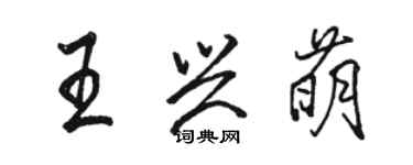 駱恆光王興萌行書個性簽名怎么寫