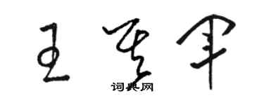 駱恆光王其軍草書個性簽名怎么寫