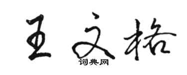 駱恆光王文格行書個性簽名怎么寫
