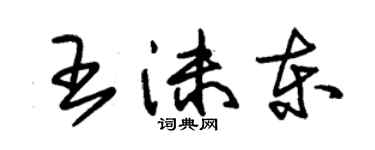 朱錫榮王沫東草書個性簽名怎么寫