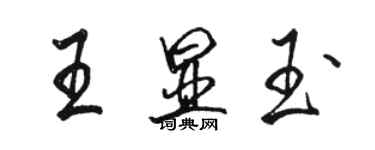 駱恆光王顯玉行書個性簽名怎么寫