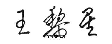 駱恆光王黎星草書個性簽名怎么寫