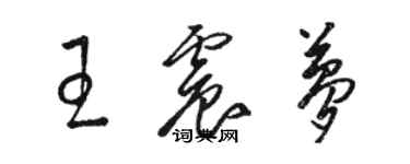 駱恆光王震夢草書個性簽名怎么寫