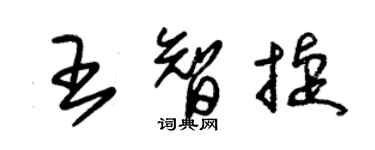 朱錫榮王智捷草書個性簽名怎么寫