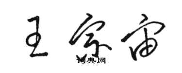 駱恆光王宗宙草書個性簽名怎么寫