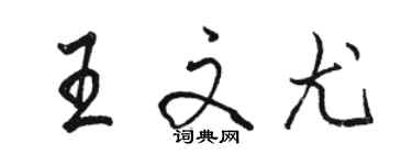 駱恆光王文尤行書個性簽名怎么寫