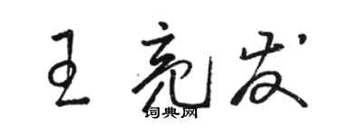駱恆光王亮發草書個性簽名怎么寫