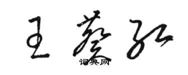 駱恆光王葵紅草書個性簽名怎么寫