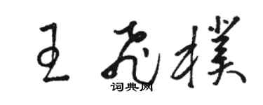 駱恆光王飛朴草書個性簽名怎么寫