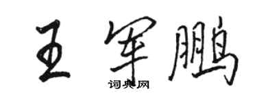 駱恆光王軍鵬行書個性簽名怎么寫