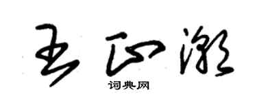 朱錫榮王正潮草書個性簽名怎么寫