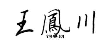 王正良王鳳川行書個性簽名怎么寫