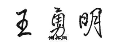 駱恆光王勇明行書個性簽名怎么寫