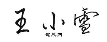 駱恆光王小雪行書個性簽名怎么寫