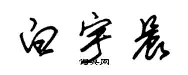 朱錫榮白宇晨草書個性簽名怎么寫