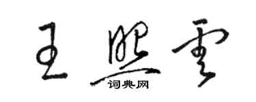 駱恆光王照雲草書個性簽名怎么寫