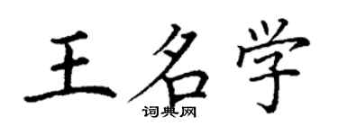 丁謙王名學楷書個性簽名怎么寫