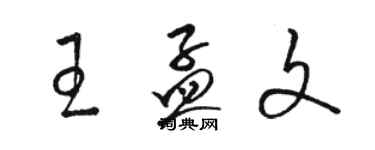 駱恆光王孟文草書個性簽名怎么寫