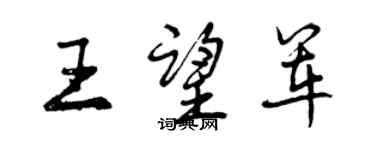 曾慶福王望軍行書個性簽名怎么寫