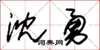 朱錫榮沈勇草書怎么寫