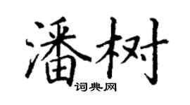 丁謙潘樹楷書個性簽名怎么寫