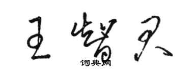 駱恆光王智君草書個性簽名怎么寫