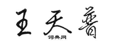 駱恆光王天普行書個性簽名怎么寫