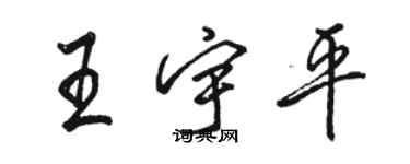 駱恆光王宇平行書個性簽名怎么寫