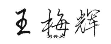 駱恆光王梅輝行書個性簽名怎么寫