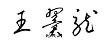 梁錦英王翼龍草書個性簽名怎么寫
