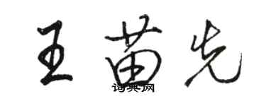 駱恆光王苗先行書個性簽名怎么寫