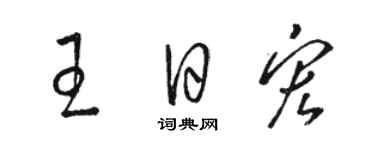 駱恆光王日宏草書個性簽名怎么寫