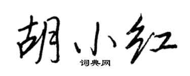 王正良胡小紅行書個性簽名怎么寫