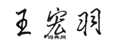 駱恆光王宏羽行書個性簽名怎么寫
