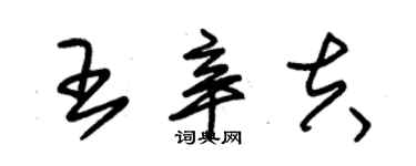 朱錫榮王辛夫草書個性簽名怎么寫