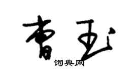 朱錫榮曹玉草書個性簽名怎么寫