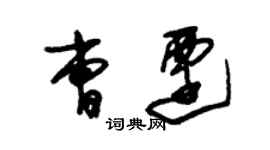 朱錫榮曹遷草書個性簽名怎么寫