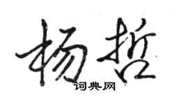 駱恆光楊哲行書個性簽名怎么寫