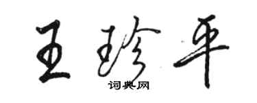 駱恆光王珍平行書個性簽名怎么寫