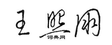 駱恆光王照朋草書個性簽名怎么寫