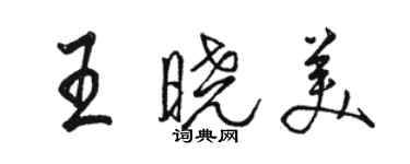 駱恆光王曉美行書個性簽名怎么寫