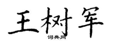 丁謙王樹軍楷書個性簽名怎么寫