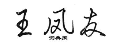 駱恆光王鳳友行書個性簽名怎么寫