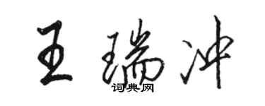 駱恆光王瑞沖行書個性簽名怎么寫