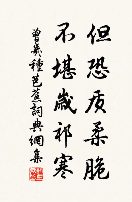 山僧對我默無語，柏子無風墮青雨 詩詞名句